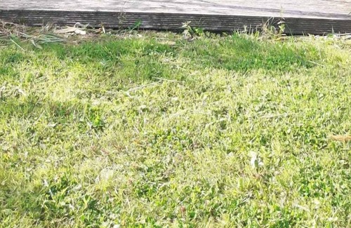 Belturbet House | 59 Riverun