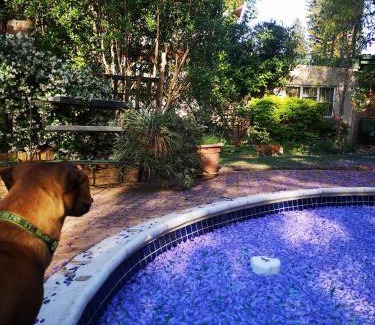 Pretoria House | 800@Merton