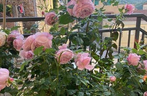 Caldana Apartment | 85 m² Apartment ∙ 2 bedrooms ∙ 4 guests