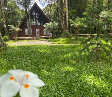 Sao Francisco de Paula Ski Chalet | A Cabana Sao Chico