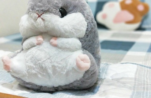 East District Apartment | A cozy room with story from FaFa