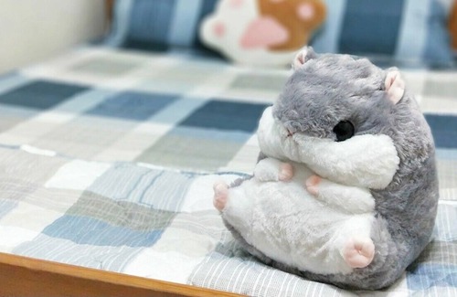 East District Apartment | A cozy room with story from FaFa