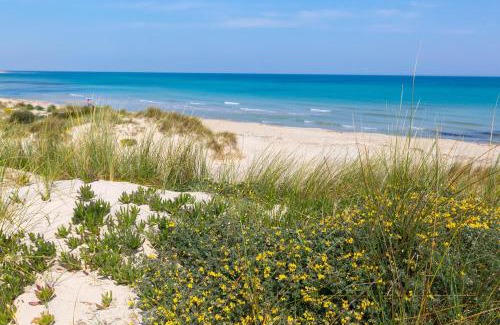 Torre Rinalda Apartment | A due Passi dal Mare by BarbarHouse