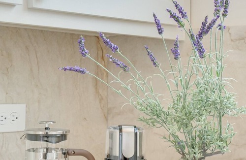 Oak Lawn House | A Gilbert · Driem House |Chic | Highland Park Adjacent