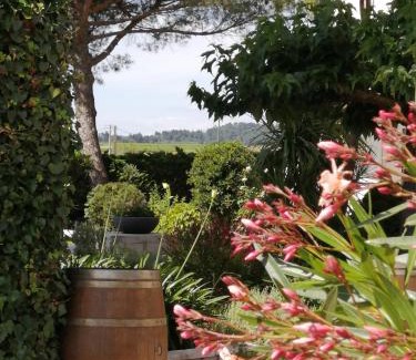 Montady House | A l'Orée Des Vignes