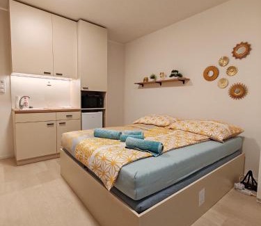 Brno-stred Apartment | A Star Apartment Brno with Terrace