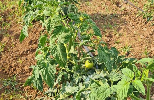 Marsala Apartment | A un Passo dal Tramonto