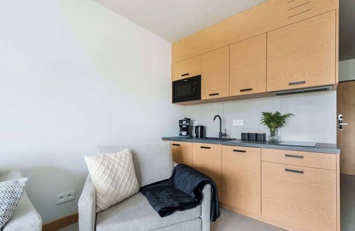 Koscielisko Apartment | A unique Studio with a Mountain View