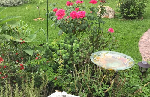 Cypress House | A wonderful Yoga Retreat Mini House in Houston surrounded by Nature.