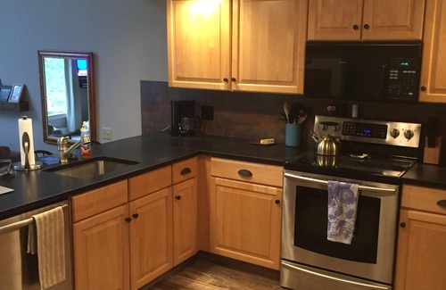 Ludlow House | A1 Solitude.4 BDRM, ski in/out to main Solitude lift, pool/gym access. Parking!