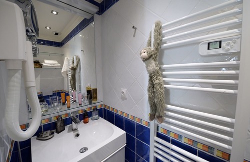 3rd Arrondissement Apartment | A3DG Blue cheese