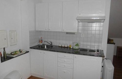 Cerna V Posumavi Apartment | ABC apartments
