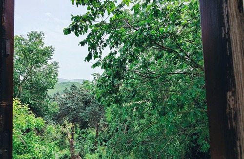 Monterosso House | Accogliente Casolare Dell'800, Perfetta per Amanti Della Natura e i Loro Animali