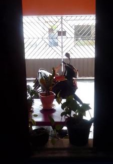 Sao Miguel Do Guama House | Acomodação para COP 30