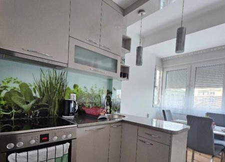 Banovo brdo Apartment | ADA View apartment