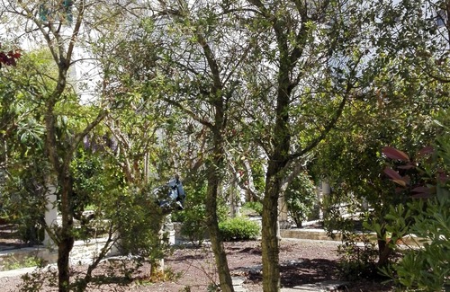 Martina Franca House | ADELE DIMORA HOUSE OF THE 1700 IN THE HISTORICAL CENTER MARTINA FRANCA VALLE D'ITRIA