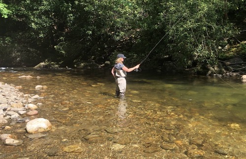 Sapphire Cottage | Adorable 1 Bedroom Cottage