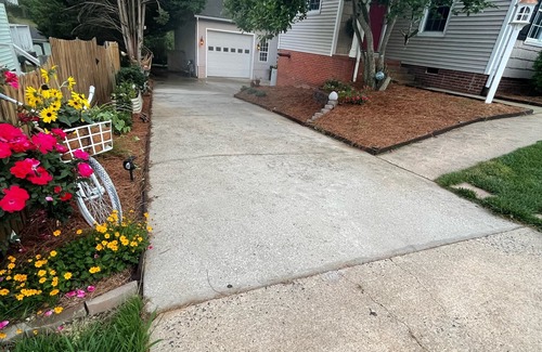 Belmont Historic District Apartment | Adorable Private Belmont BungaBelow Basement Suite