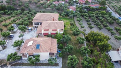 Ano Vasilikos Apartment | Aeolos Zante Villas with Heated Pool