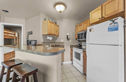 Copper Mountain Village Condo | Affordable Ski Condo with great views and shared hot tub! TL212