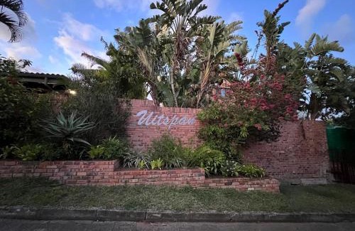 St. Lucia Apartment | African Thistle