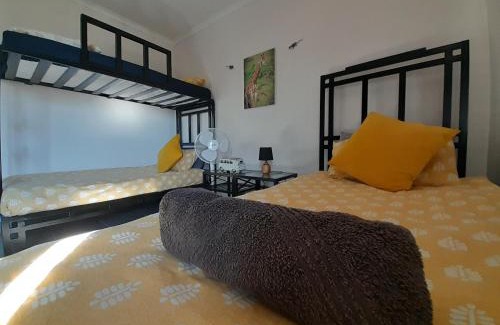 St. Lucia Apartment | African Thistle