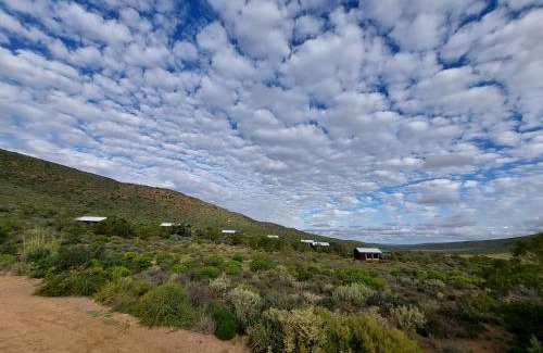Kamiesberg Other | Agama Tented Camp
