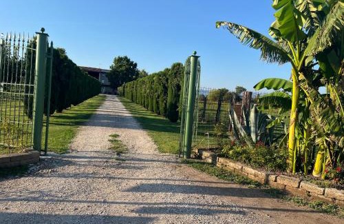 Pescantina Apartment | Agriturismo Corte Bonetti - Appartamento i Cipressi
