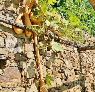 Noli House | Agriturismo Costamagna