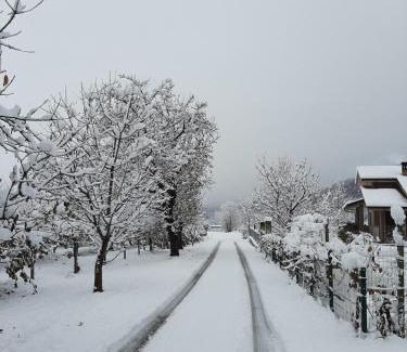 Dronero House | Agriturismo Fior Di Campo
