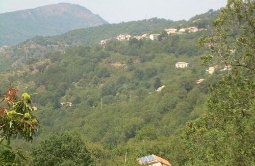 Tortorici House | Agriturismo Fontanapietra