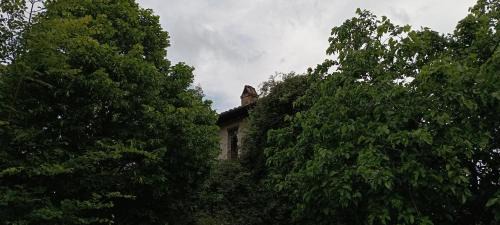 Montelaguardia Bed & Breakfast | Agriturismo Il Poggio degli Scoiattoli