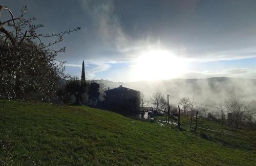 Montelaguardia Bed & Breakfast | Agriturismo Il Poggio degli Scoiattoli