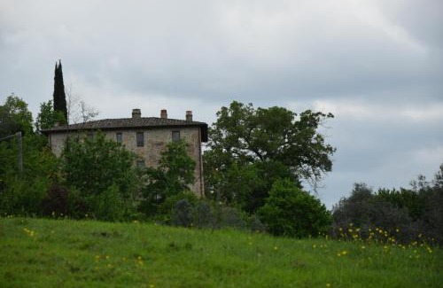 Montelaguardia Bed & Breakfast | Agriturismo Il Poggio degli Scoiattoli