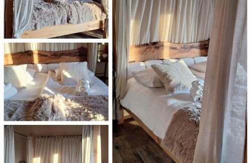 Arfanta House | Agriturismo La Pina