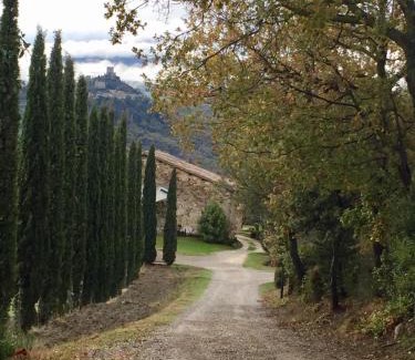 San Quirico d'Orcia Apartment | Agriturismo Le Querciole in Val d'Orcia