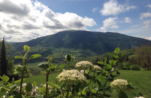 Assisi House | Agriturismo Le Sorgenti