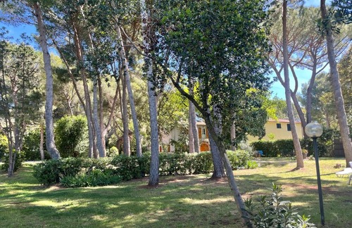 Campiglia Marittima House | Agriturismo Podere Campalto