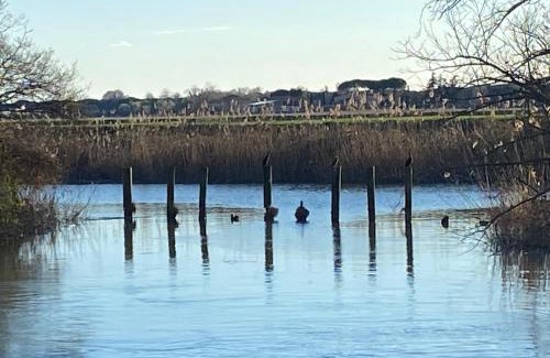 Fiumicello House | Agriturismo Riva Mondina