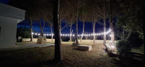 Borgagne House | Agriturismo TENUTE MASSERIA NOTARI