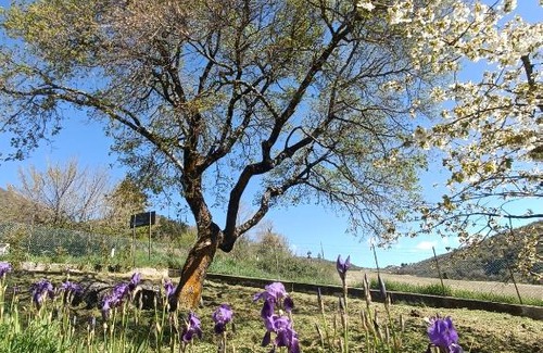 Vallo di Nera House | Agriturismo Terramia