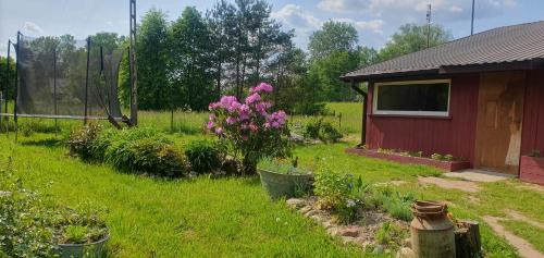gmina Sadowne House | Agroturystyka , Na Zadupiu,