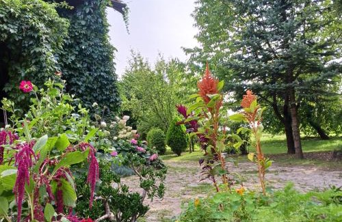 Jonkowo House | Agroturystyka Pod Dębem