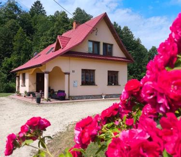 Ustrzyki Dolne Apartment | Agroturystyka - POD DWOREM
