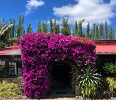 Ahipara Resort | Ahipara TOP 10 Holiday Park
