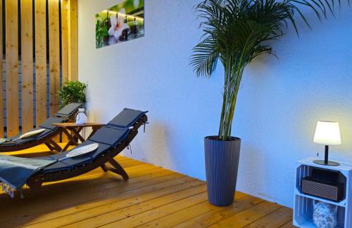 Drage House | Ahoi Hause 17