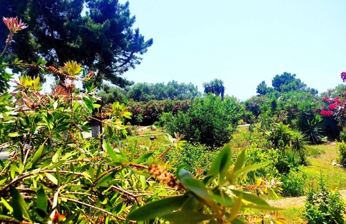 Chalikounas Apartment | AHP