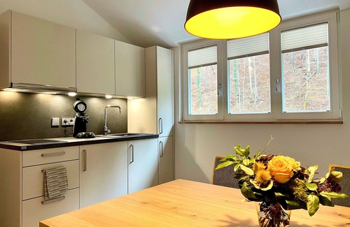 Hassmersheim Apartment | Akazie - Siegelsbacher Mühle