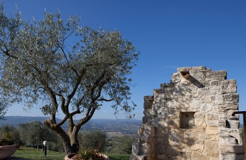 Piedicolle Villa | Al boschetto, Luxury pool Villa in Umbria, SPA, outdoor space, garden, pizzaoven