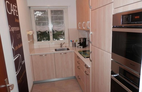 Lugano Apartment | Al Bosco - fantastic view of Lugano